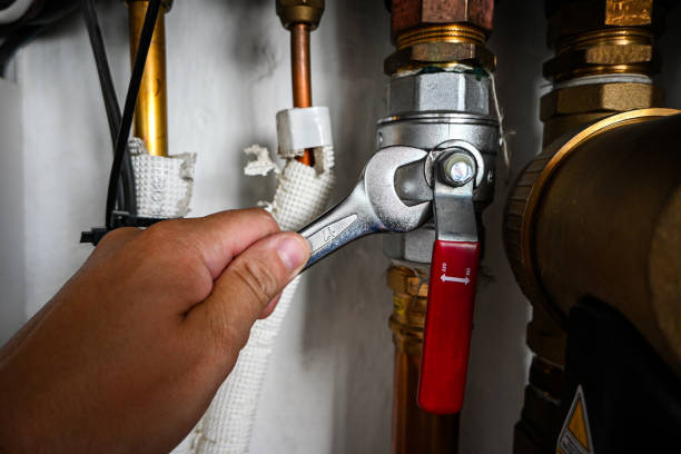 Best Local Plumber Services  in Anthem, AZ